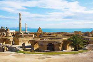 Tunisia Antiche rovine e oasi incantate